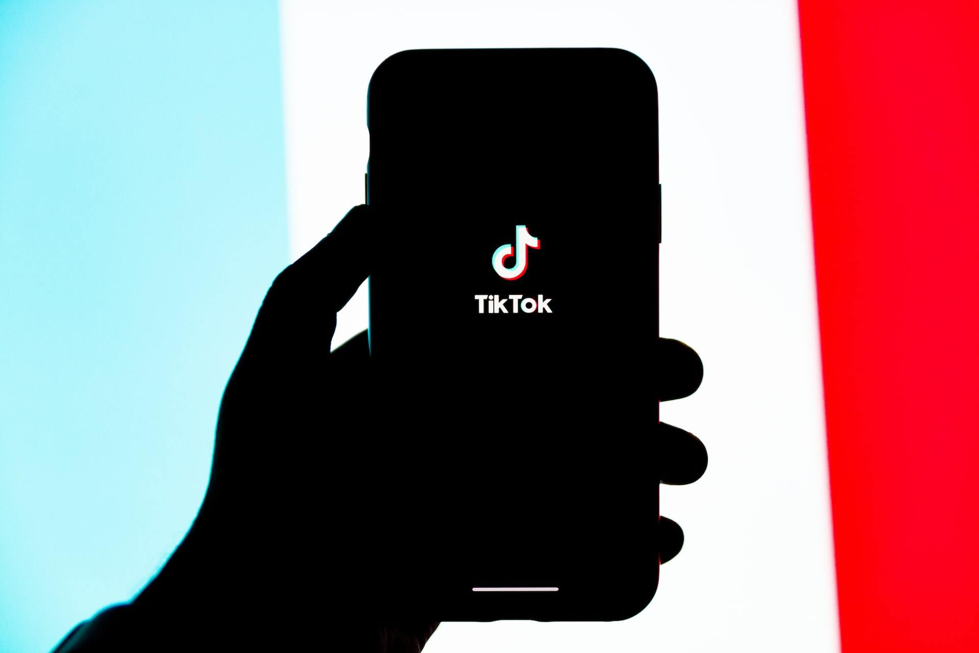 Como utilizar o TikTok para progredir sua empresa