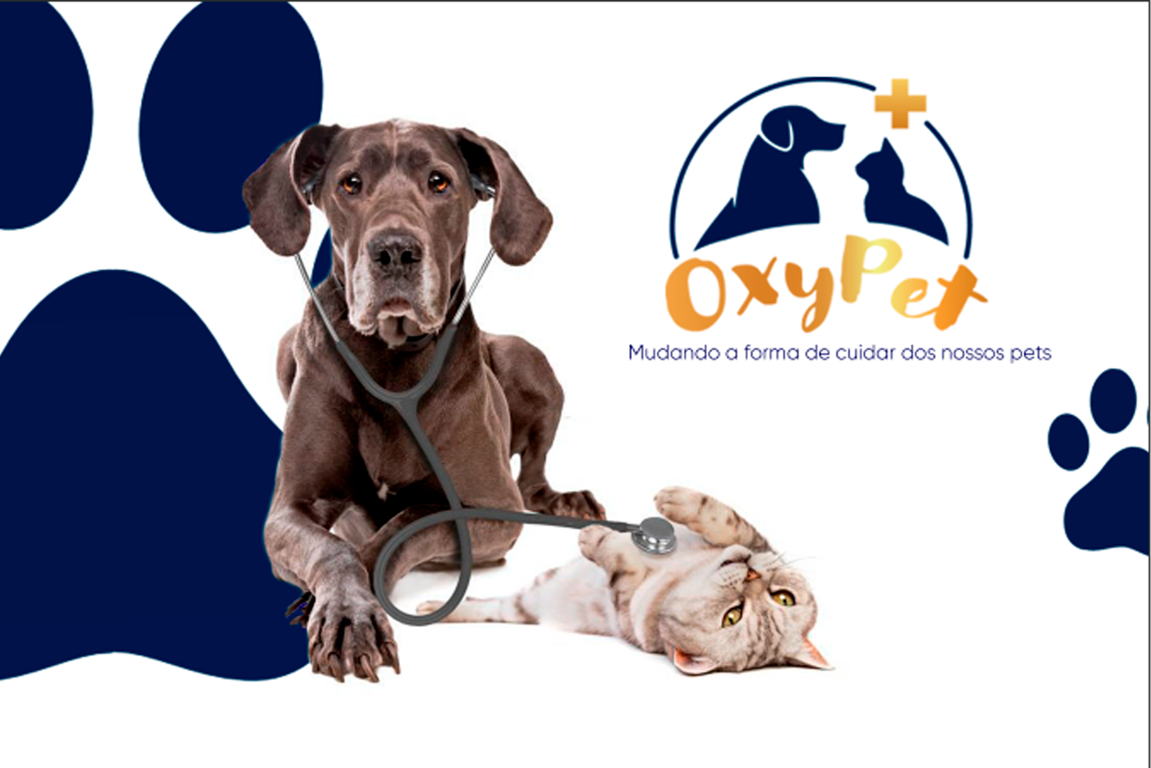 Brand OxyPET | Portfolio | Criação De Logo Petshop Veja como ficou o nosso trabalho de Brand OxyPET | Criação de Logo, elaboração de site e mídias para Petshop. Veja!