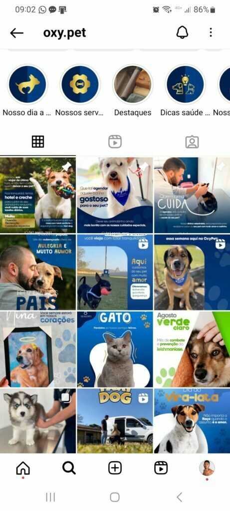 oxy pet instagram AGNC - Agência de Marketing
